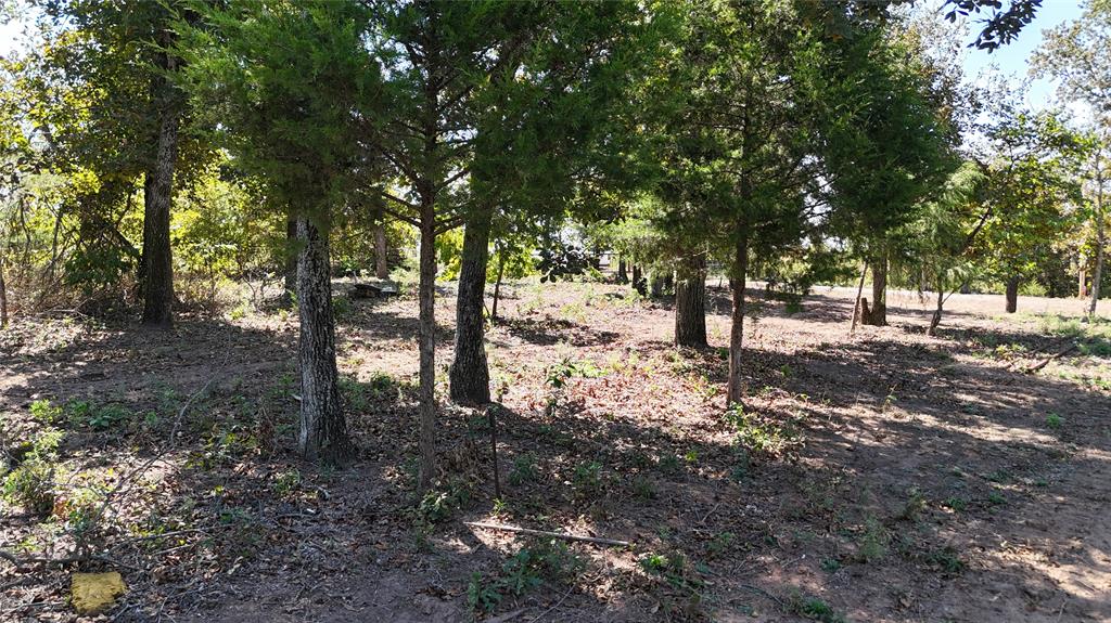 19331 Mooseville Drive Property Photo 16