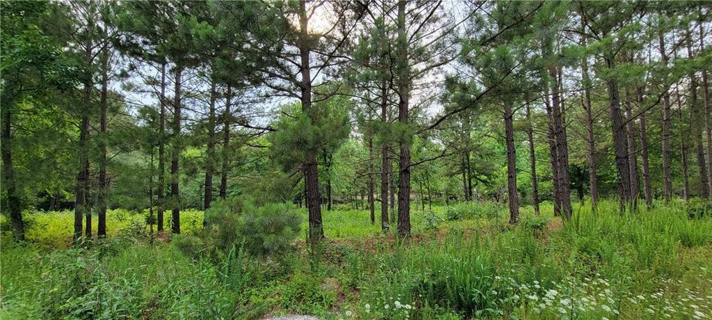 28 Creek Side Trail Property Photo 9