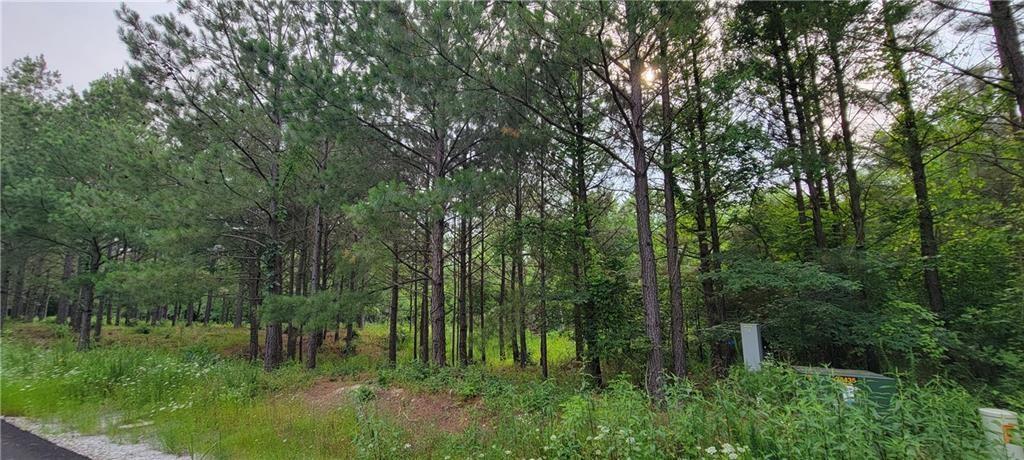 28 Creek Side Trail Property Photo 10