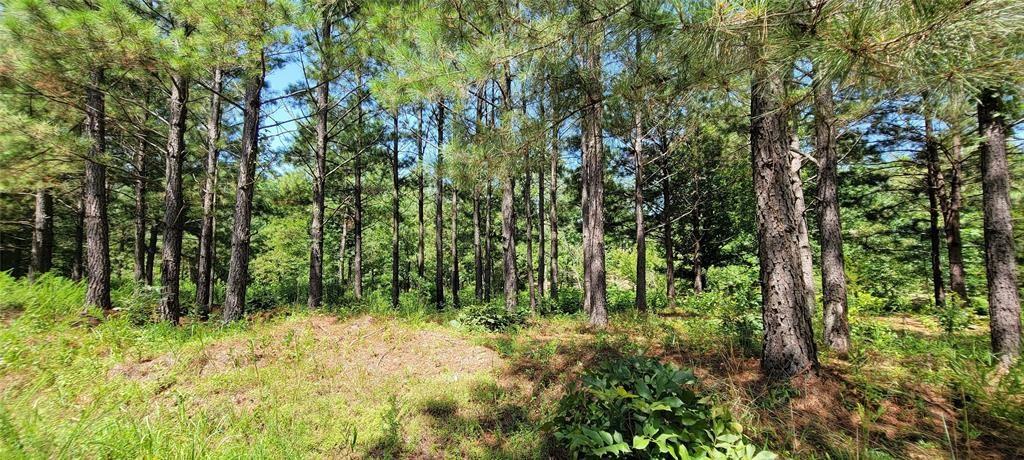 28 Creek Side Trail Property Photo 11