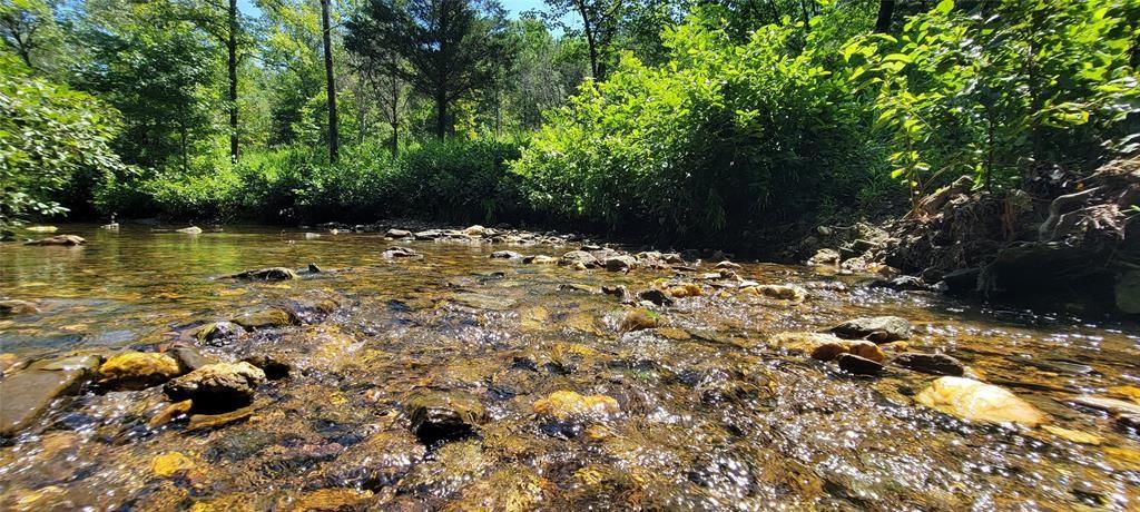 74 Creek Side Trail Property Photo 3