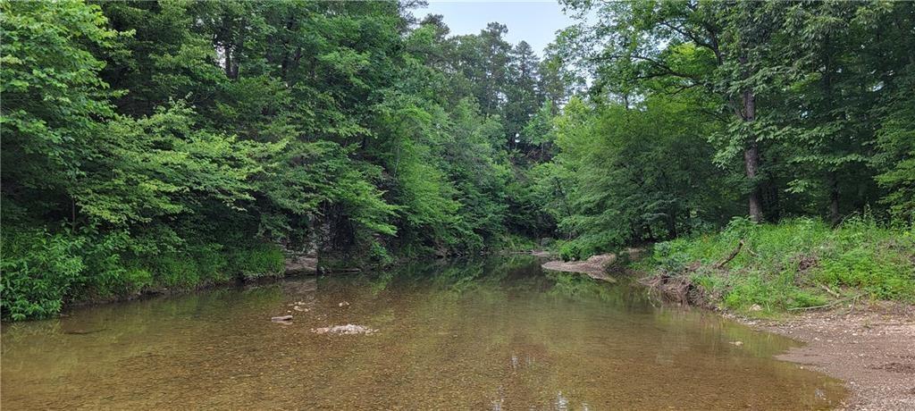 74 Creek Side Trail Property Photo 6
