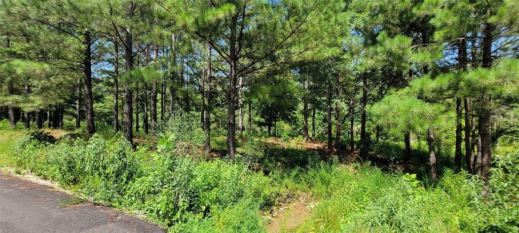 74 Creek Side Trail Property Photo 7