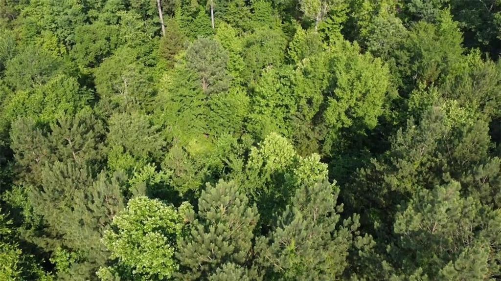 74 Creek Side Trail Property Photo 15