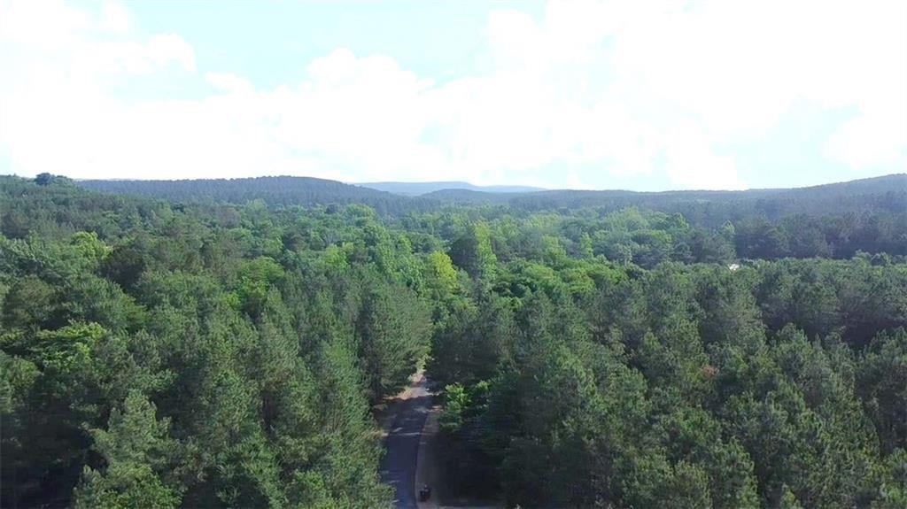 74 Creek Side Trail Property Photo 21