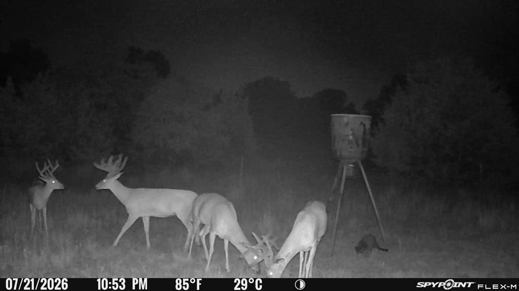 8650 Dobbs Road Property Photo 3