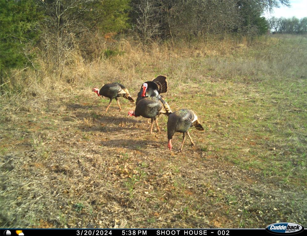 8650 Dobbs Road Property Photo 5