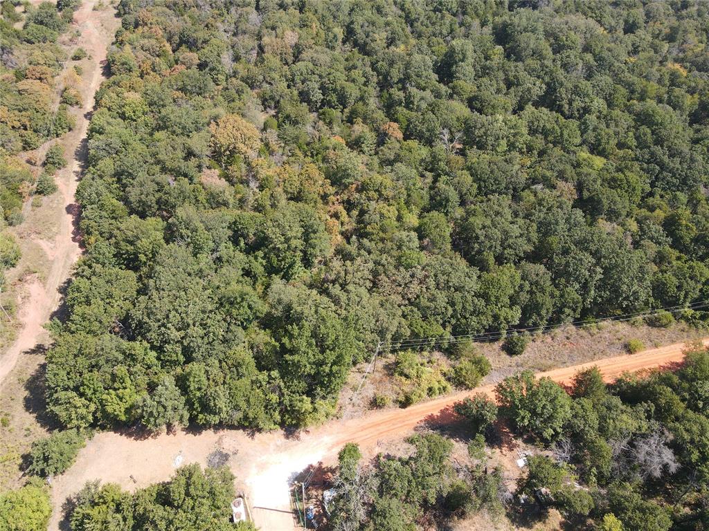 8650 Dobbs Road Property Photo 10