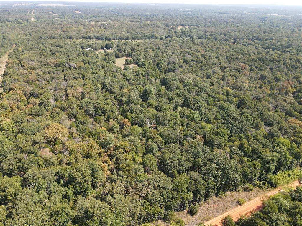 8650 Dobbs Road Property Photo 11