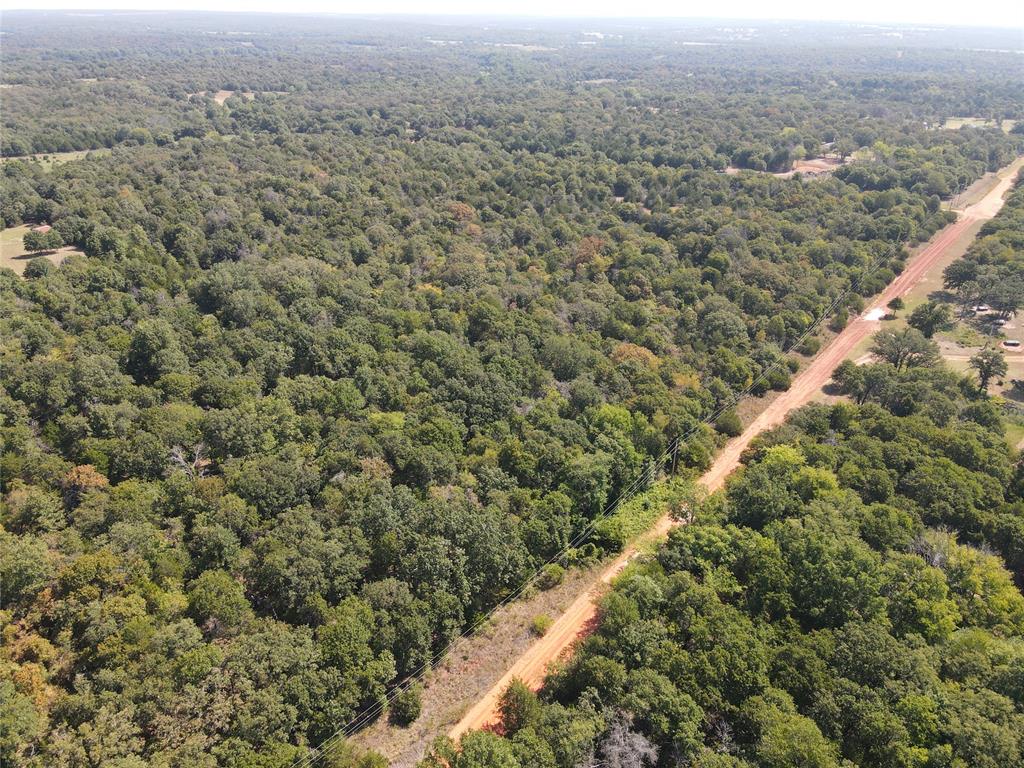 8650 Dobbs Road Property Photo 12