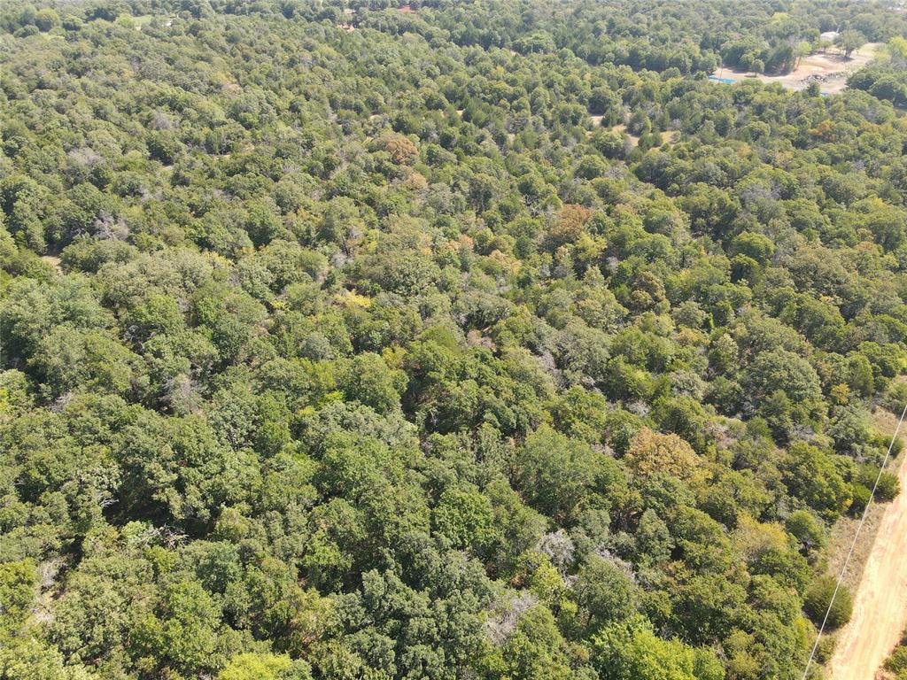 8650 Dobbs Road Property Photo 13