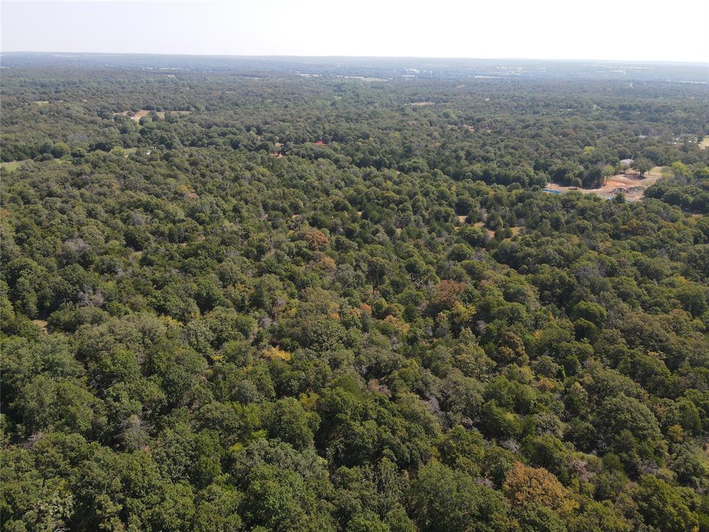 8650 Dobbs Road Property Photo 14