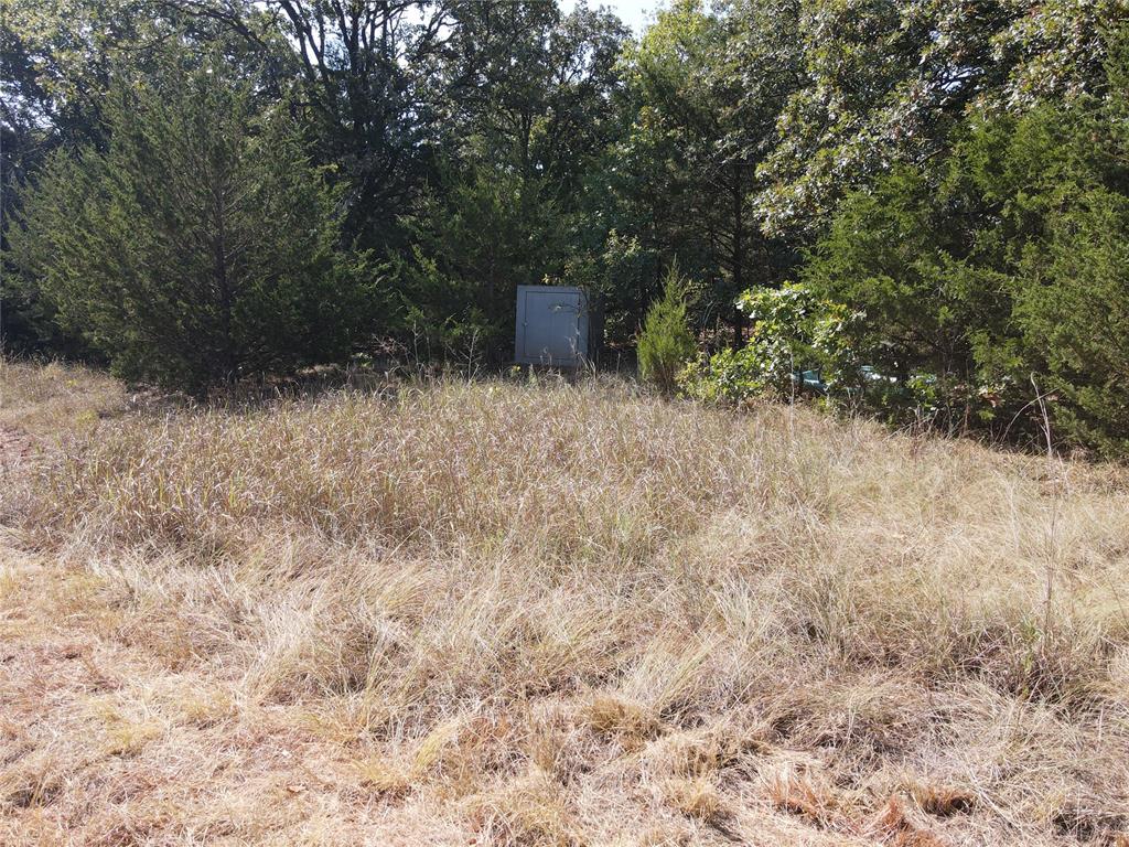 8650 Dobbs Road Property Photo 19