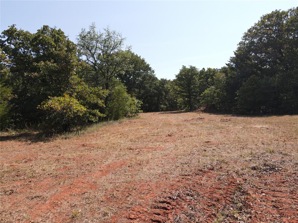 8650 Dobbs Road Property Photo 23