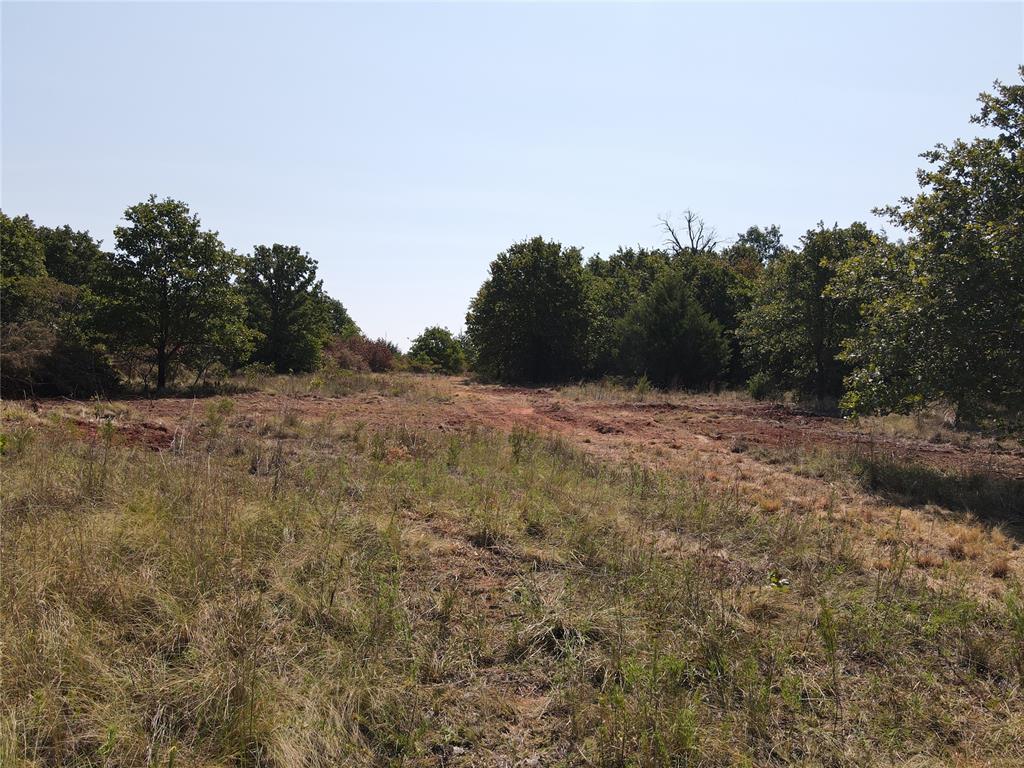 8650 Dobbs Road Property Photo 25