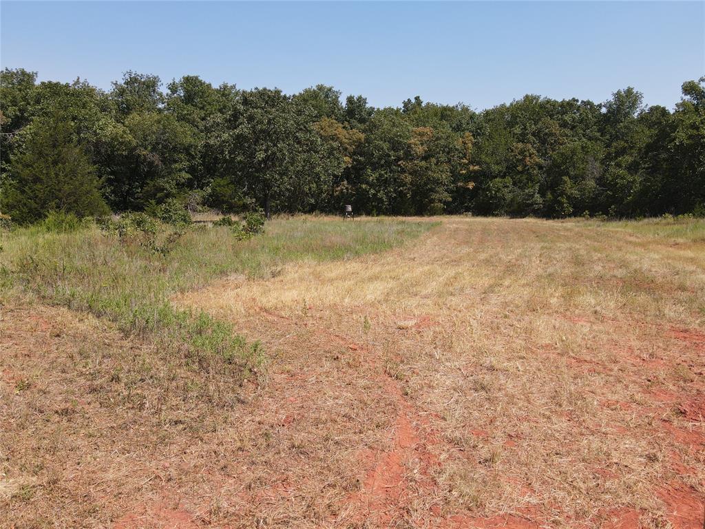 8650 Dobbs Road Property Photo 29