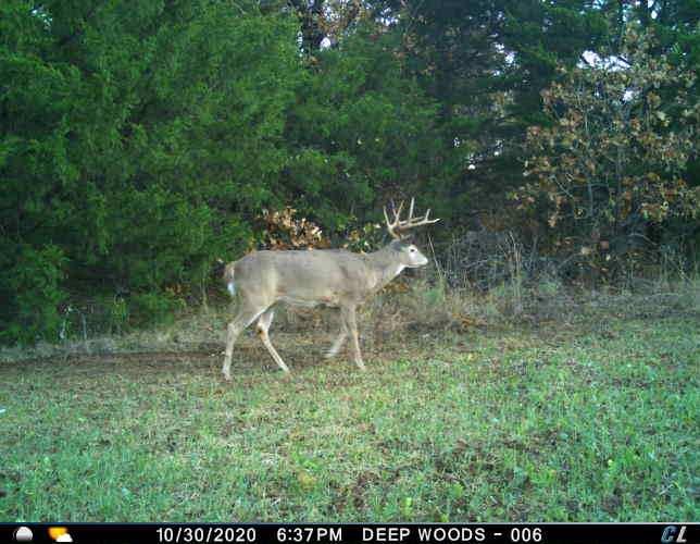 8650 Dobbs Road Property Photo 31