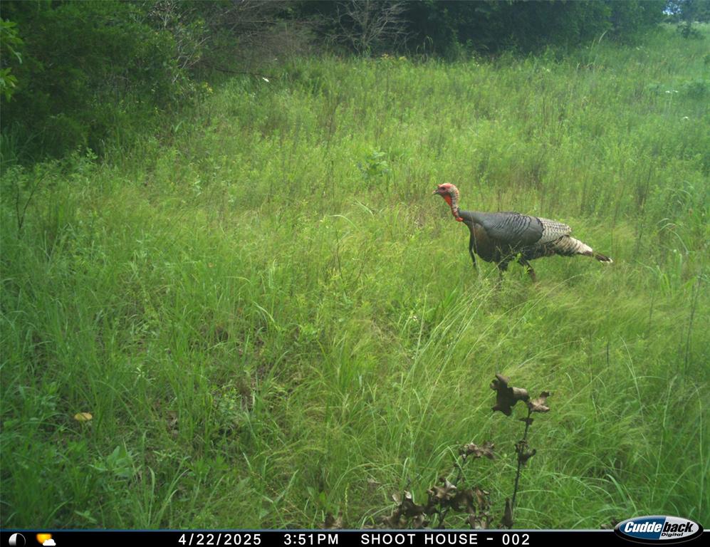 8650 Dobbs Road Property Photo 32