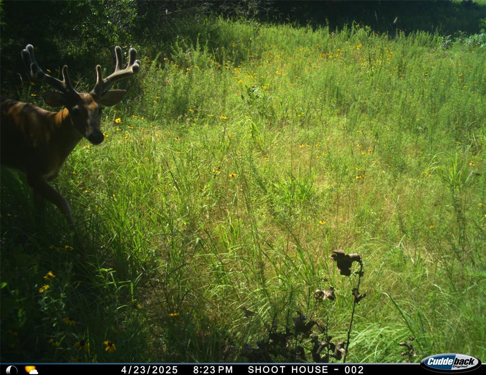 8650 Dobbs Road Property Photo 33