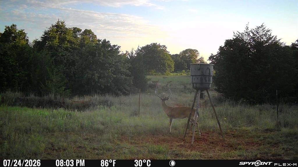 8650 Dobbs Road Property Photo 38