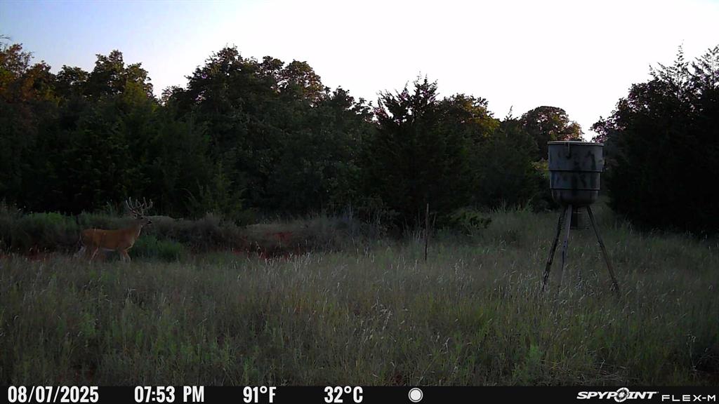 8650 Dobbs Road Property Photo 40