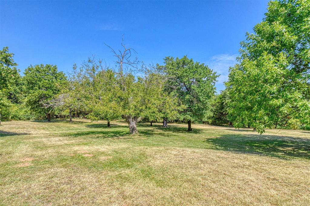 10431 Schwartz Drive Property Photo 8