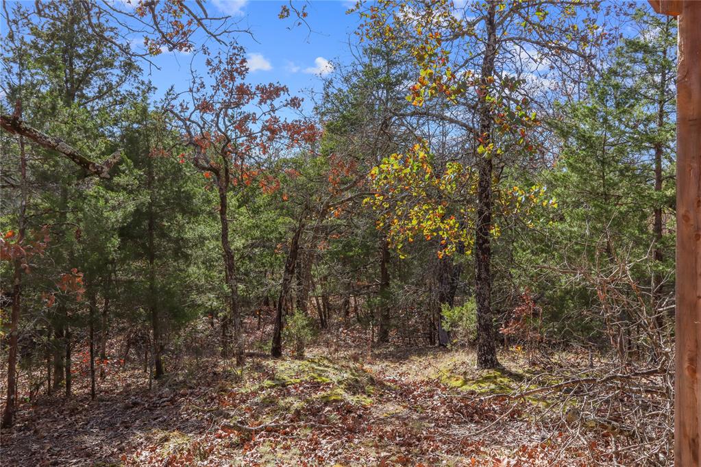 555 N White Chimney Road Property Photo 14