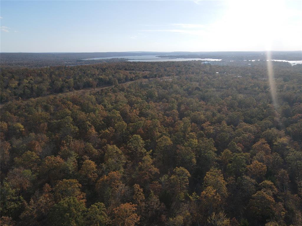 323 Brooken Mountain Rd. Road Property Photo 25