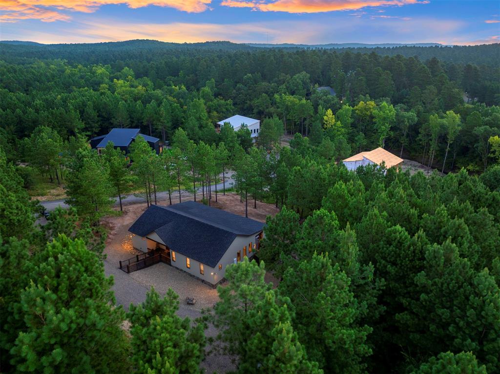 118 Turning Wood Court Property Photo 43