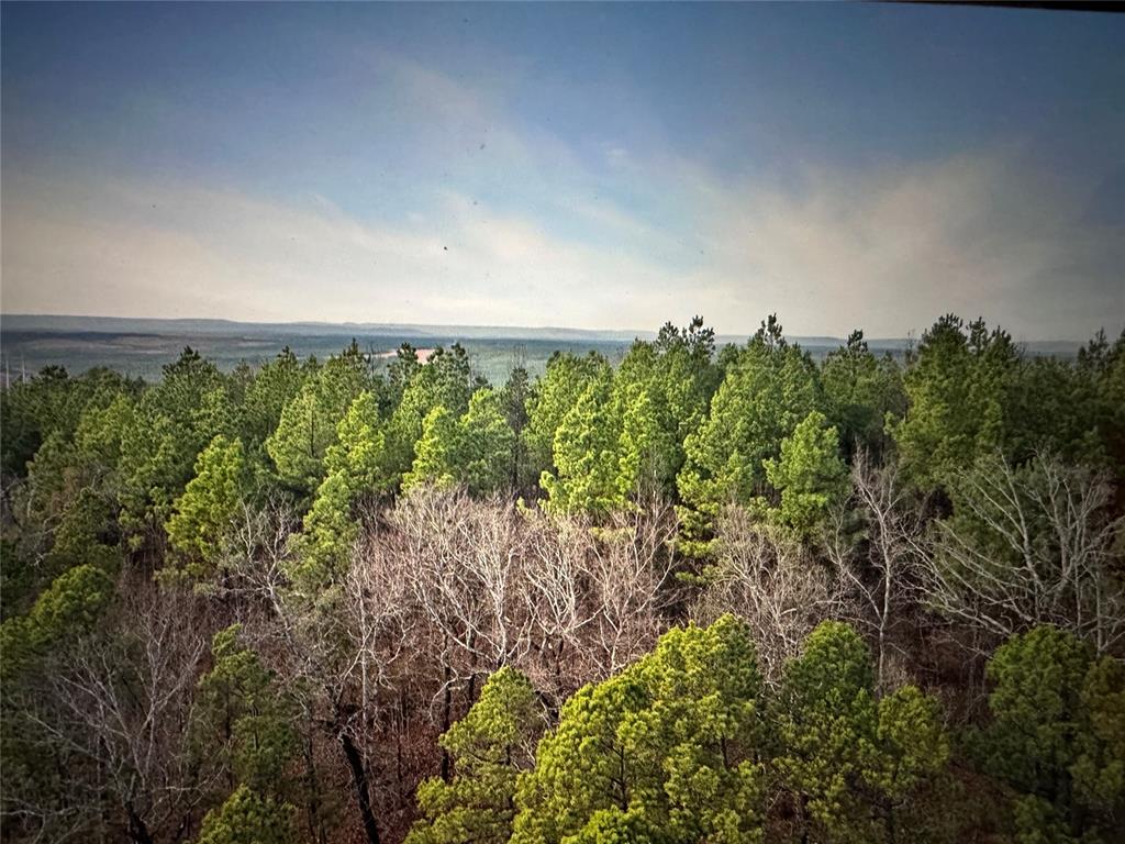 192 Evergreen Vista Loop Property Photo 2