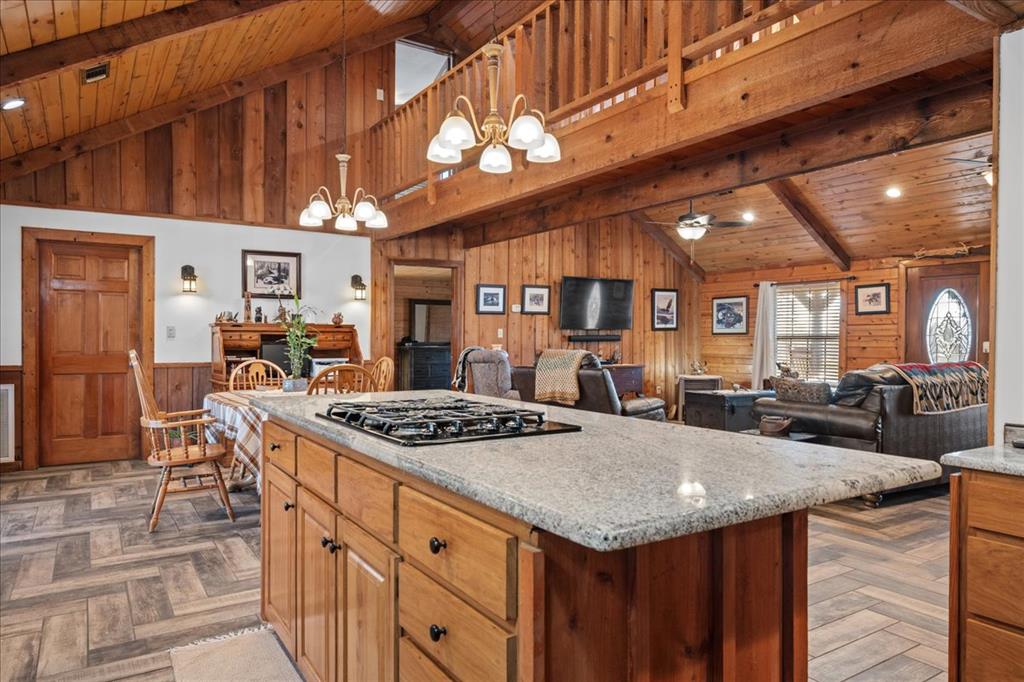 536 Coon Creek Loop Property Photo 10