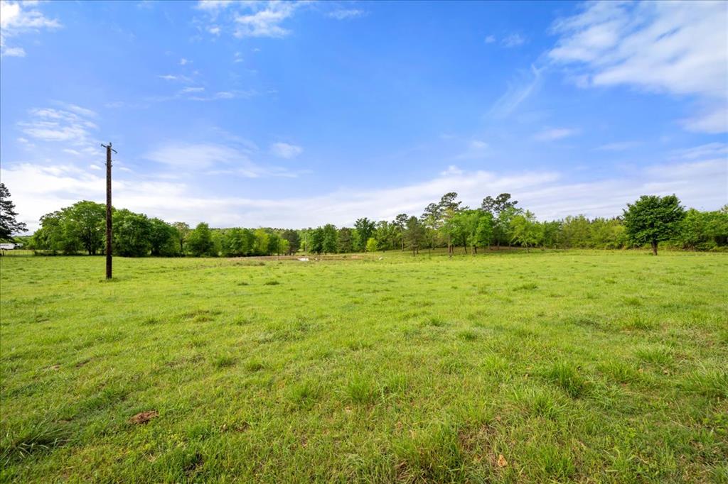 536 Coon Creek Loop Property Photo 37