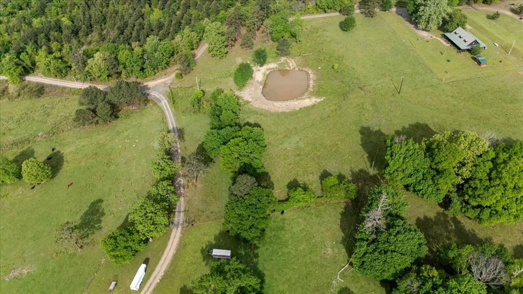 536 Coon Creek Loop Property Photo 43