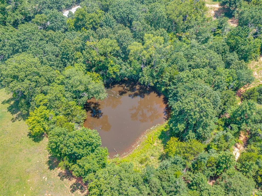 24850 Gaddy Road Property Photo 19