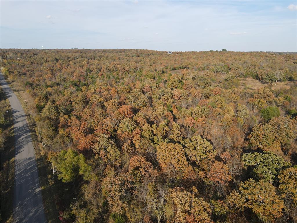 345 Brooken Mountain Rd. Road Property Photo 9