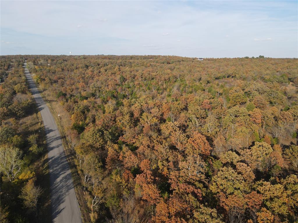 345 Brooken Mountain Rd. Road Property Photo 13
