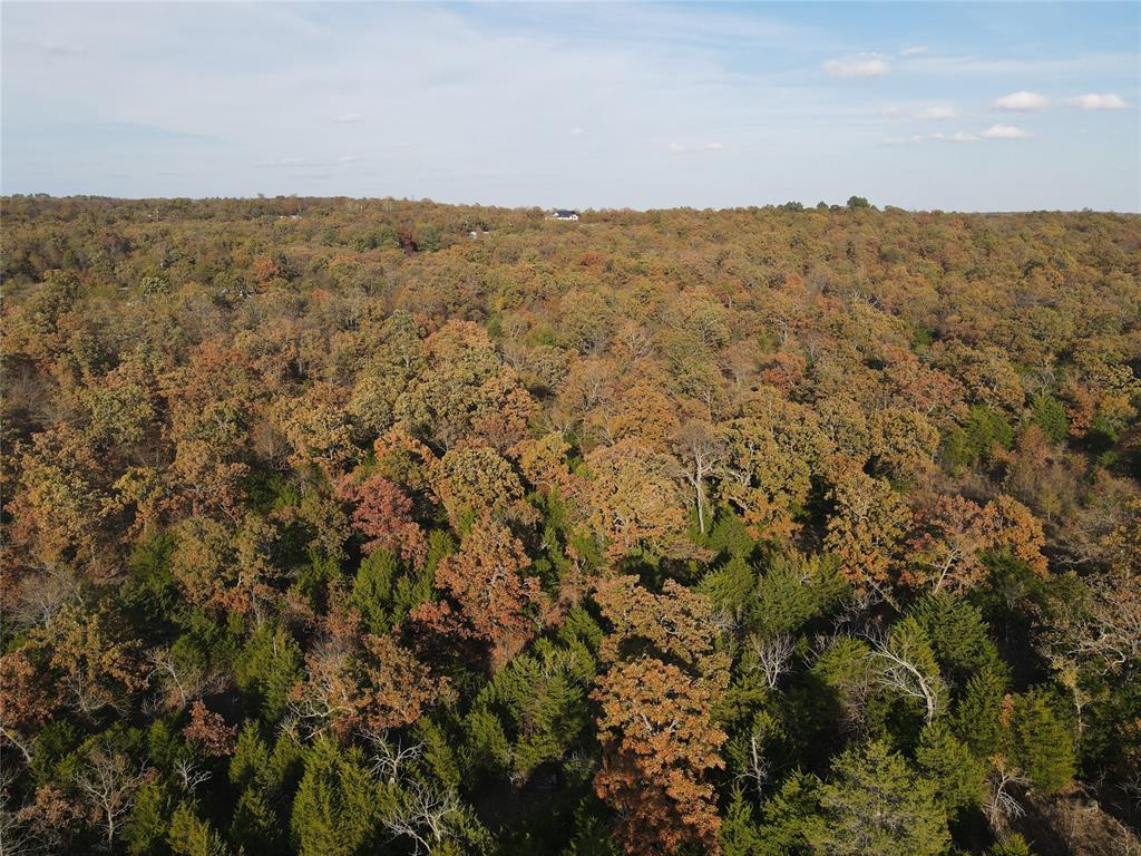 345 Brooken Mountain Rd. Road Property Photo 16