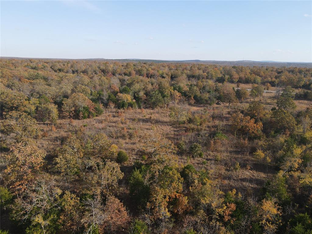 345 Brooken Mountain Rd. Road Property Photo 17