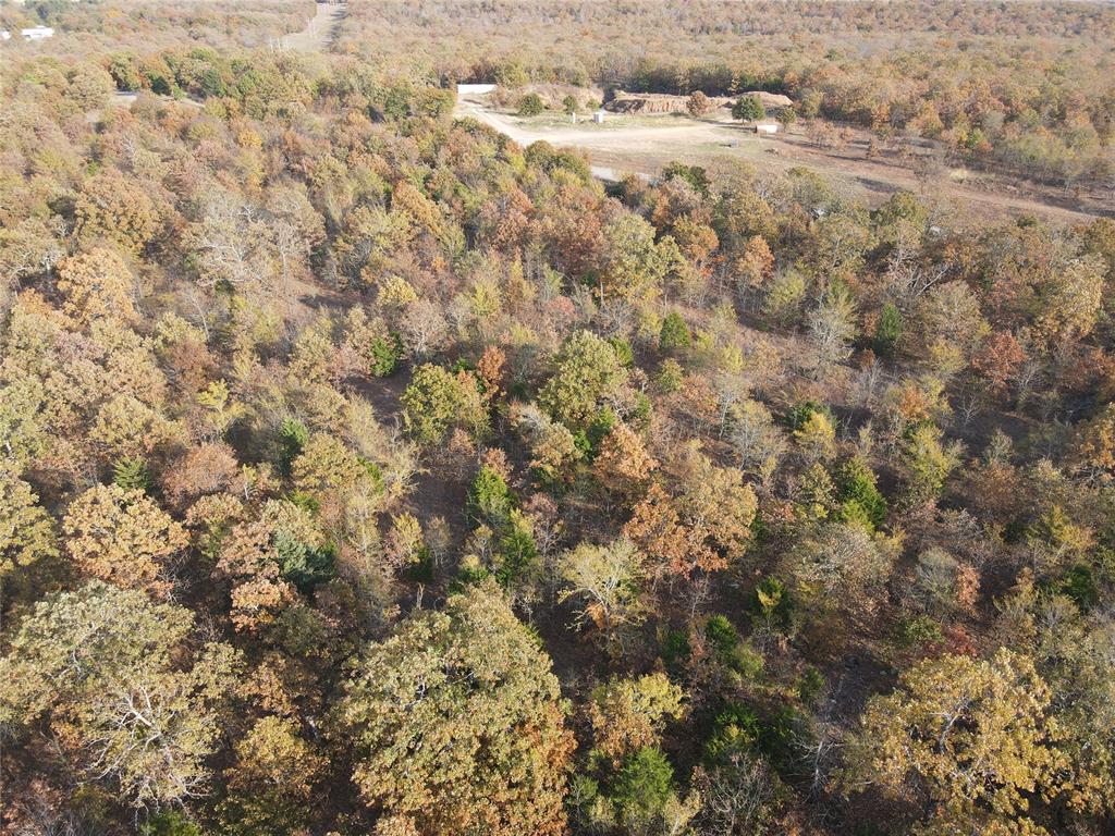 345 Brooken Mountain Rd. Road Property Photo 20