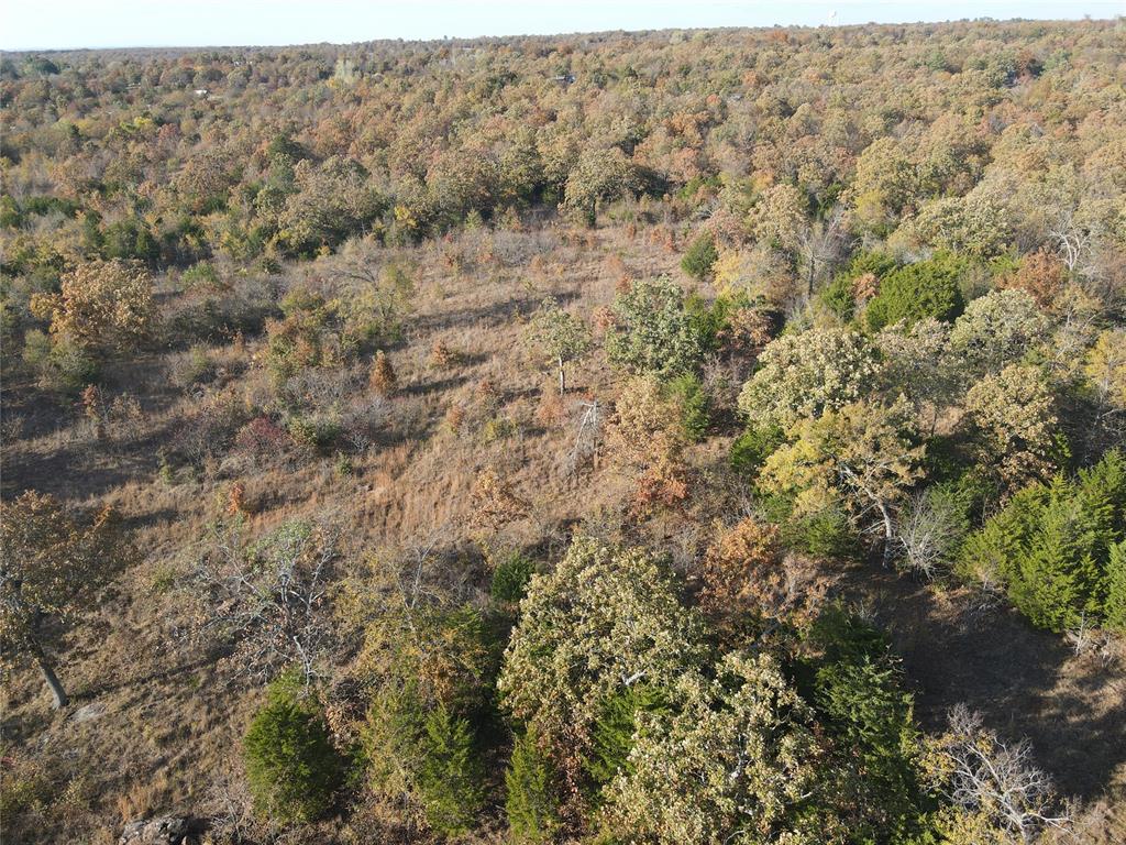 347 Brooken Mountain Rd. Road Property Photo 4