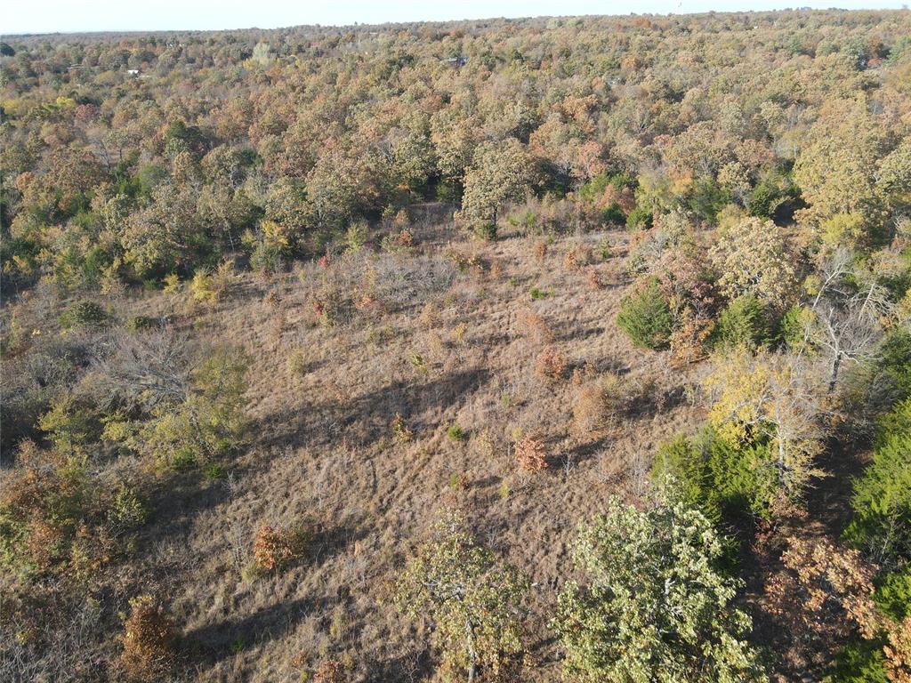 347 Brooken Mountain Rd. Road Property Photo 5