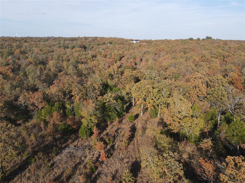 347 Brooken Mountain Rd. Road Property Photo 6