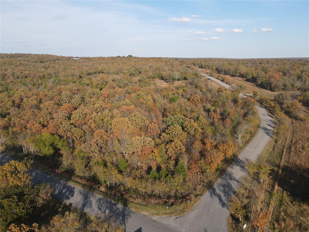 347 Brooken Mountain Rd. Road Property Photo 12