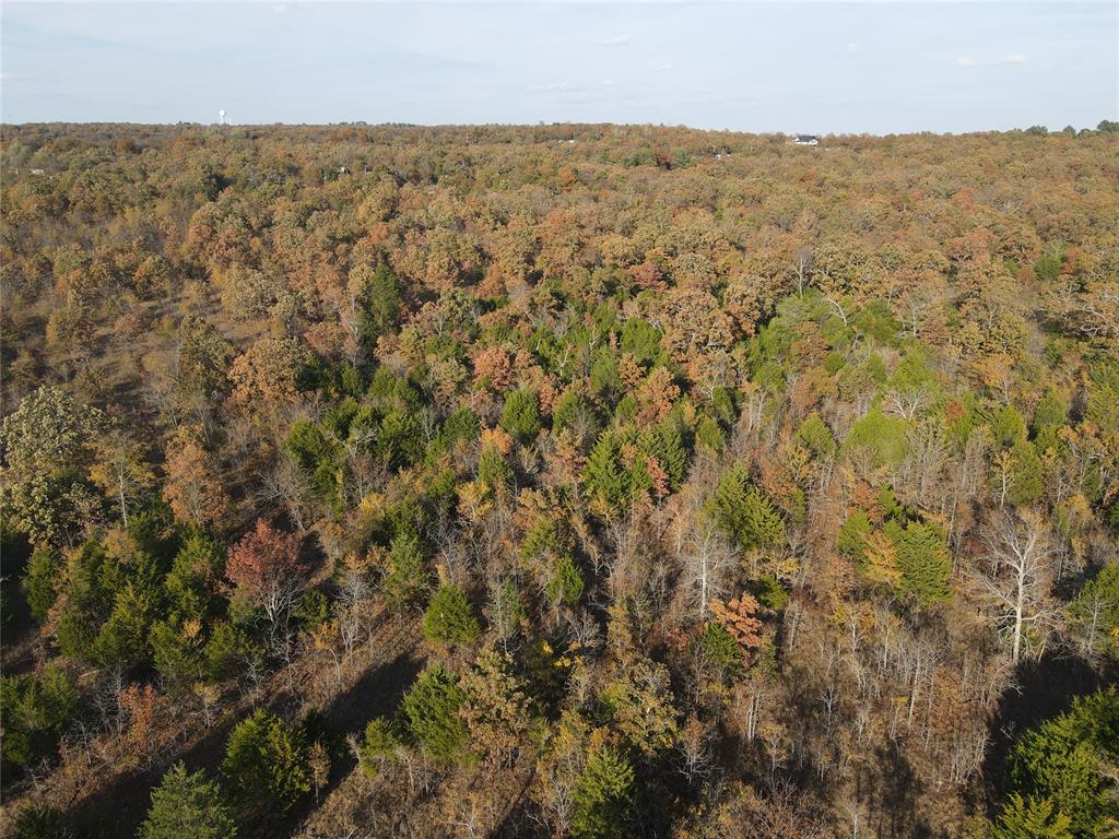 347 Brooken Mountain Rd. Road Property Photo 15