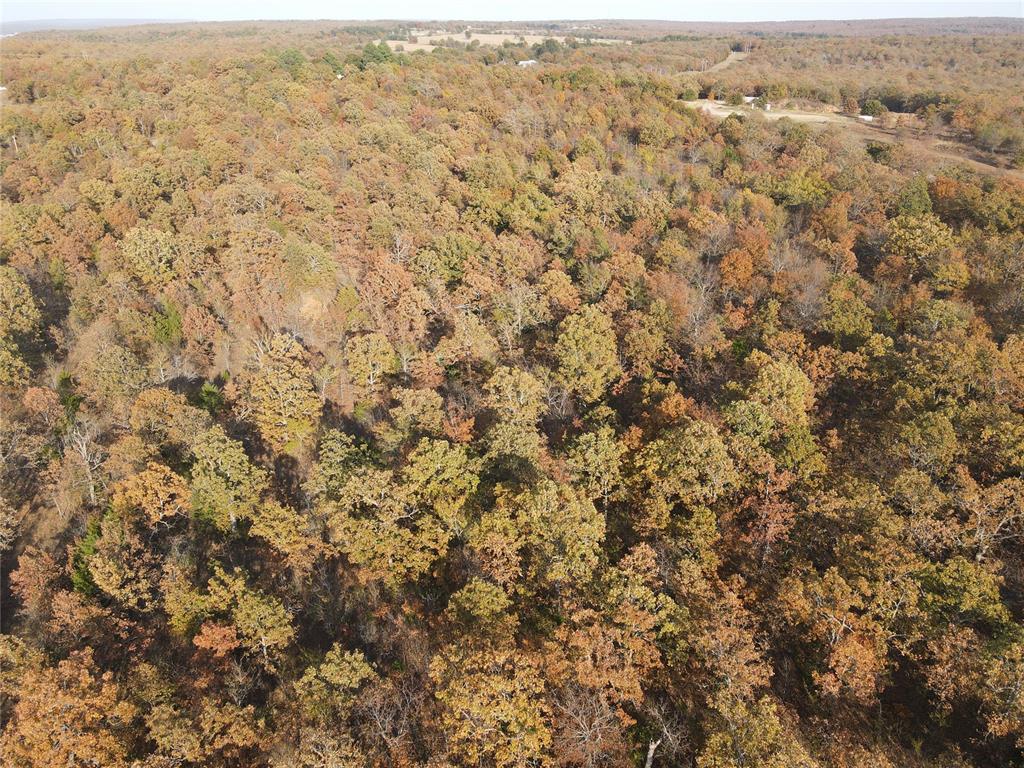 347 Brooken Mountain Rd. Road Property Photo 19