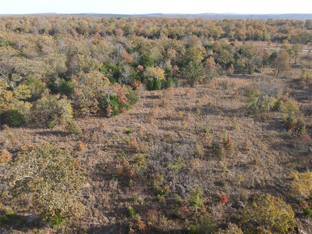 2255 Piney Creek Rd. Road Property Photo 18