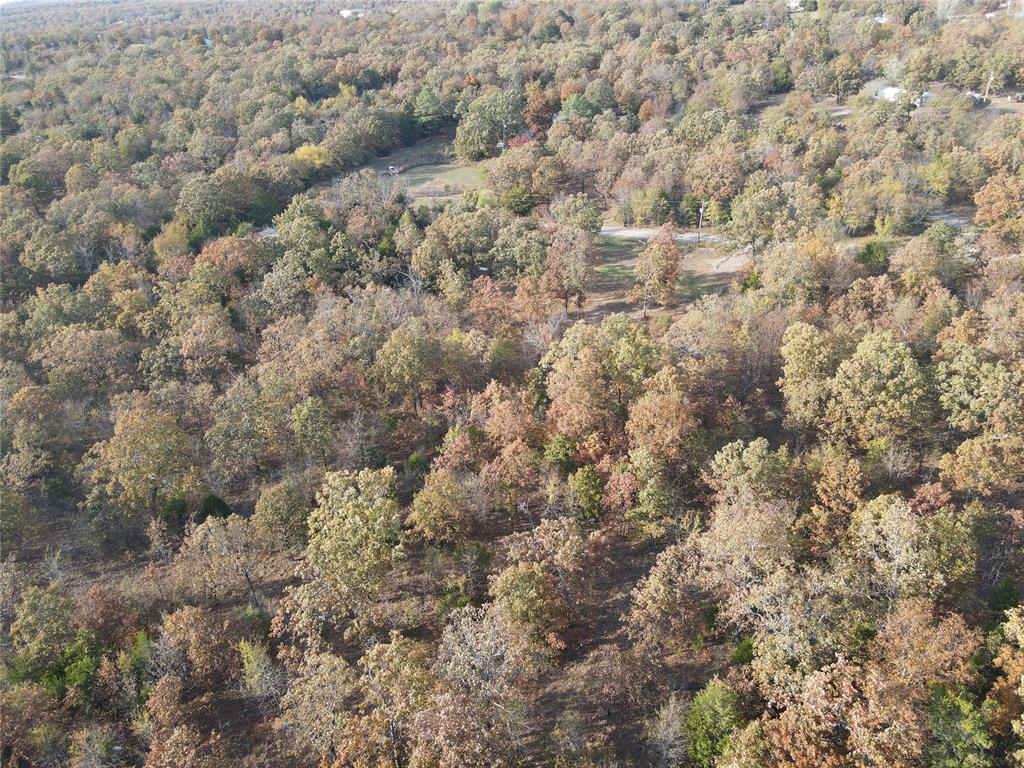 2255 Piney Creek Rd. Road Property Photo 21