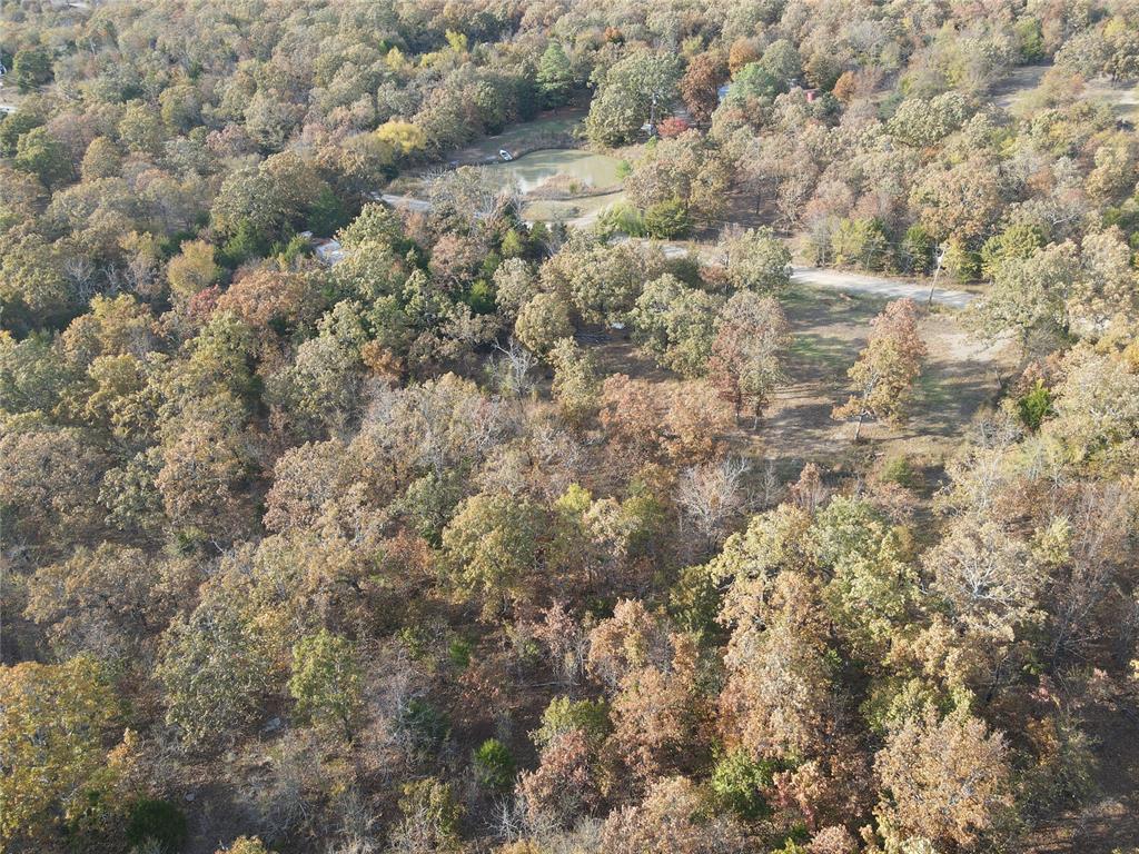 2255 Piney Creek Rd. Road Property Photo 22