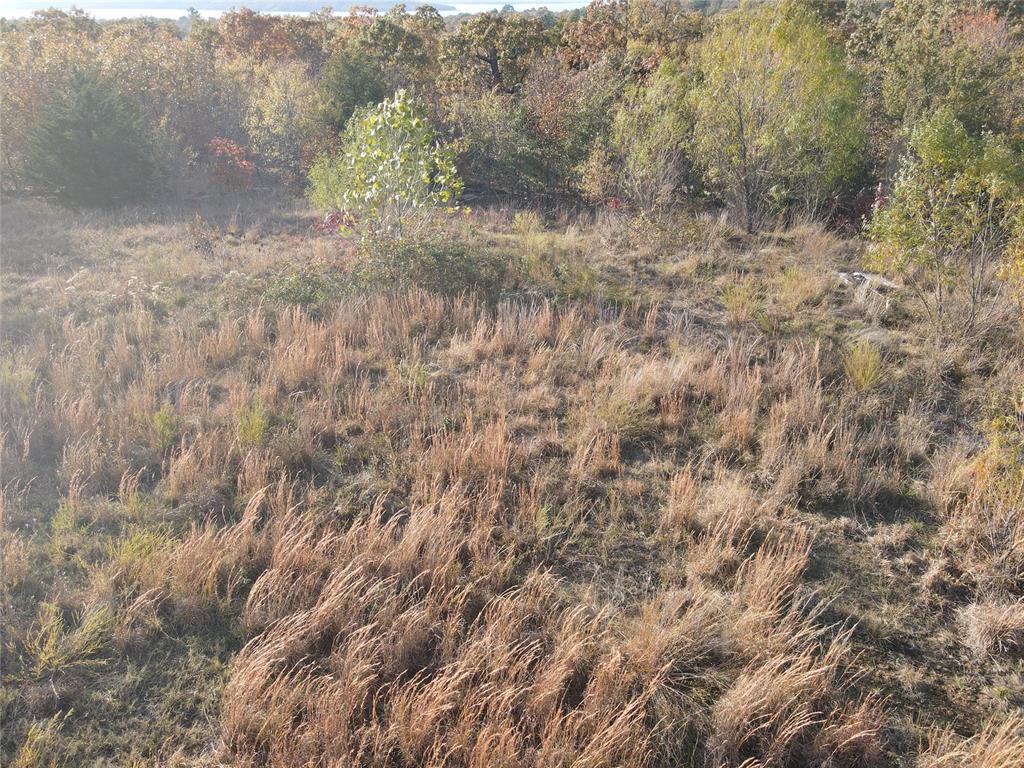 2255 Piney Creek Rd. Road Property Photo 30
