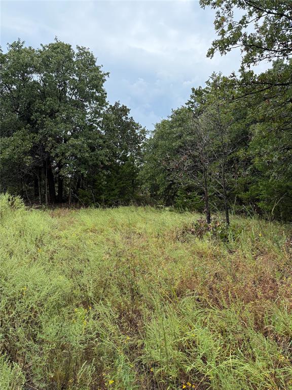 850 E 850 Road Property Photo 2